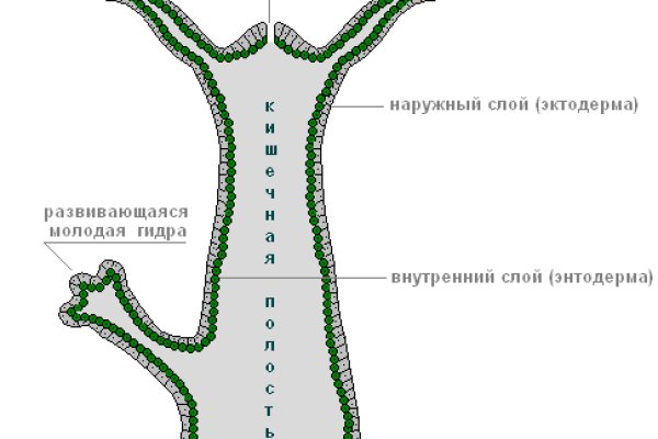 Кракен даркнет ссылка vtor run